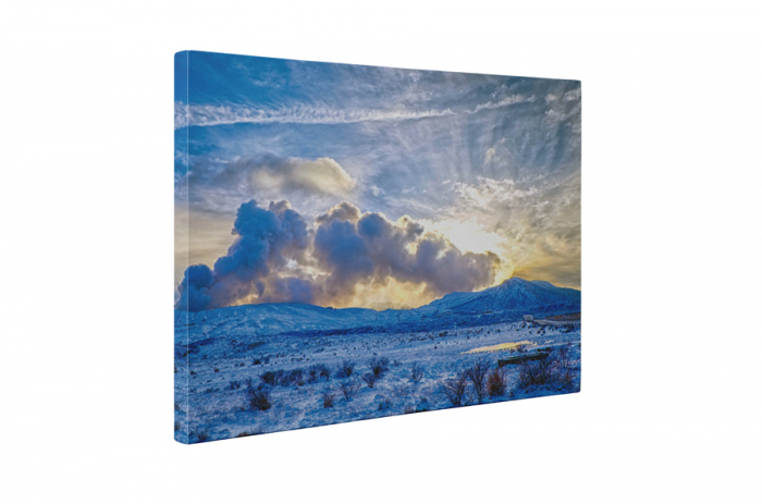 Tablou canvas : Natura inghetata [5]