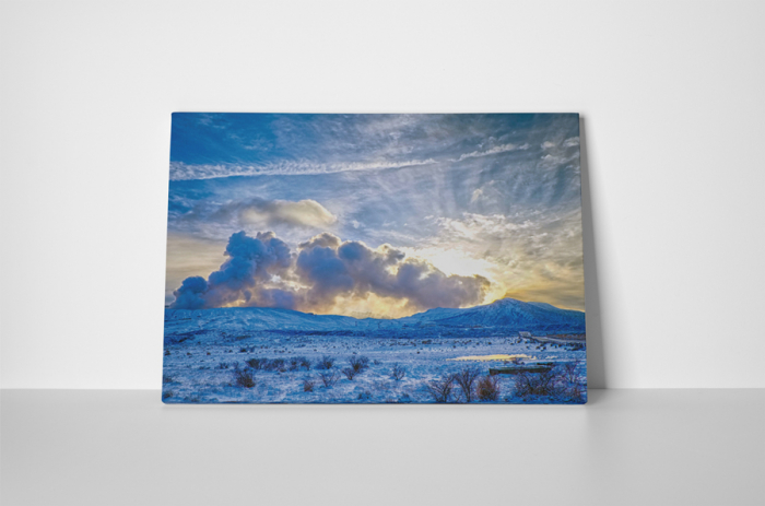Tablou canvas : Natura inghetata [2]