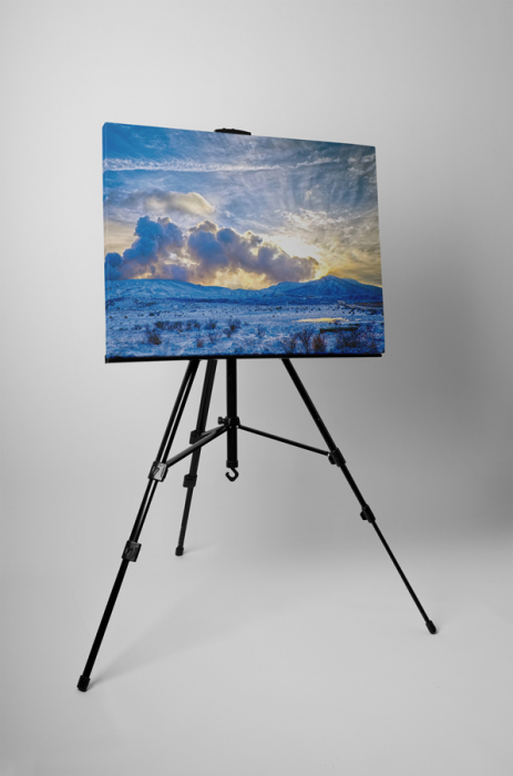 Tablou canvas : Natura inghetata [3]