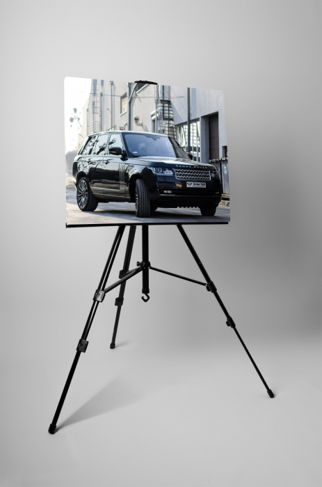 Tablou canvas : Range Rover hotarat [3]