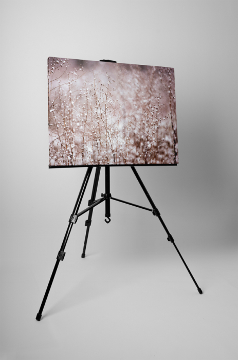 Tablou canvas : Peisaj de iarna [3]