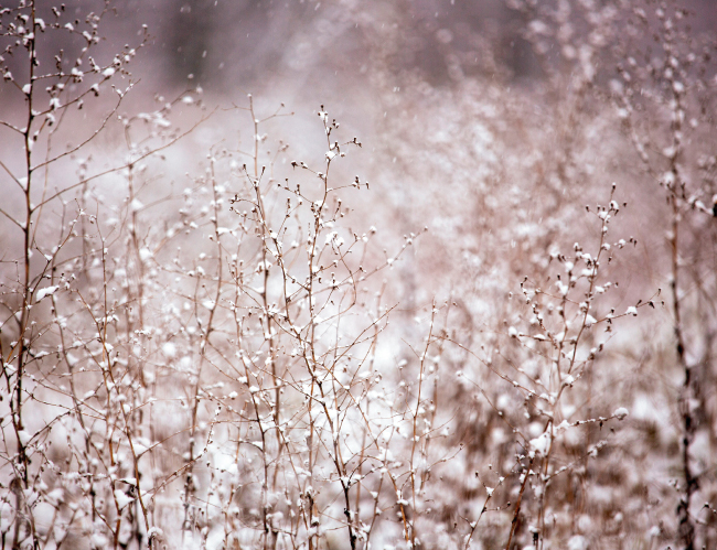 Tablou canvas : Peisaj de iarna [4]