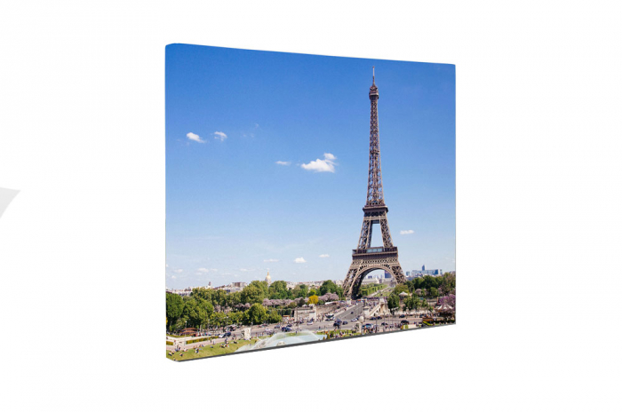 Tablou canvas : Parc langa Turnul Eiffel [5]