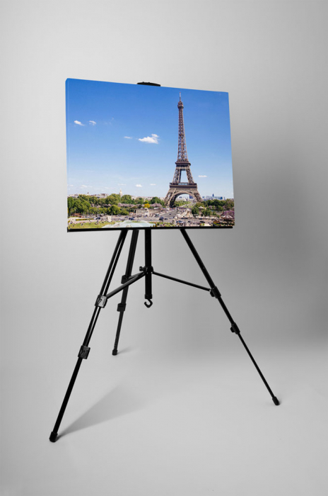 Tablou canvas : Parc langa Turnul Eiffel [3]