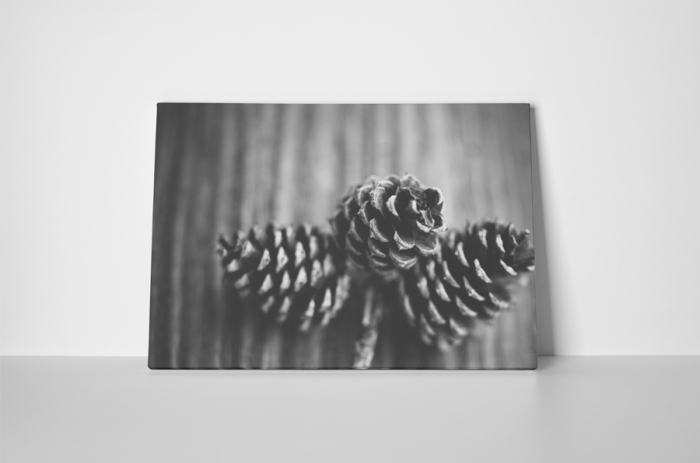 Tablou canvas : Conuri [2]