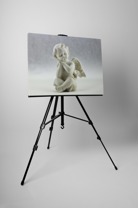 Tablou canvas : Ingeras adormit [3]