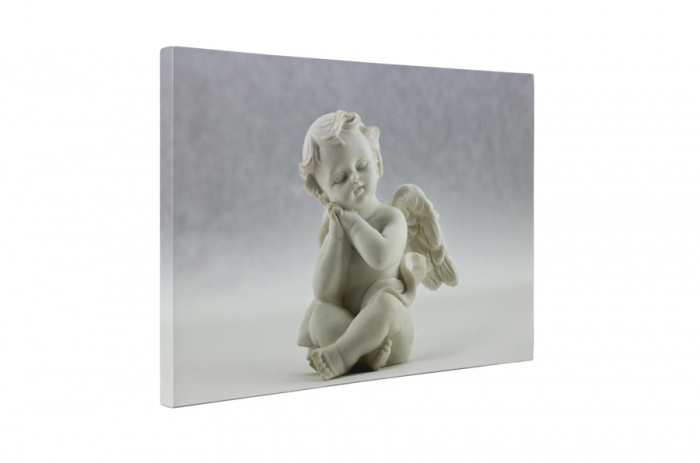 Tablou canvas : Ingeras adormit [5]