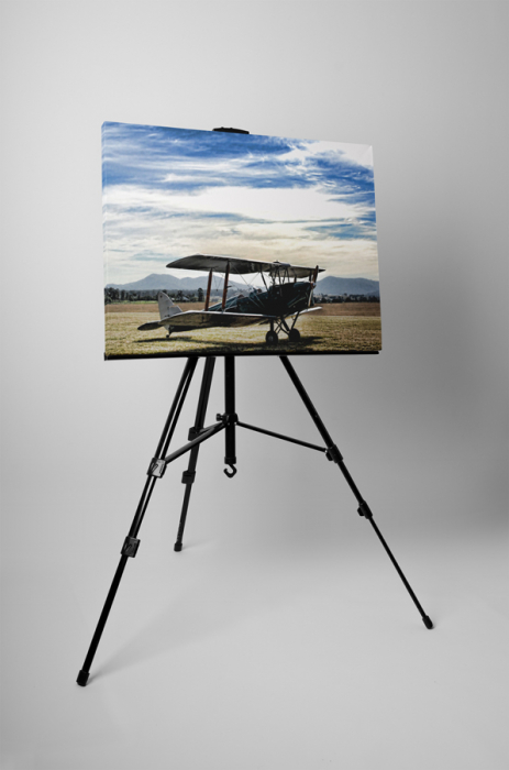 Tablou canvas : Avion vechi [3]