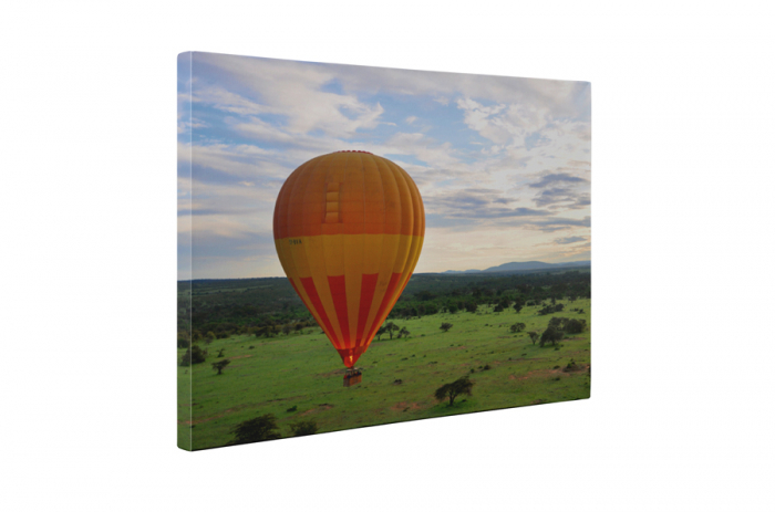 Tablou canvas : Deasupra savanei [5]