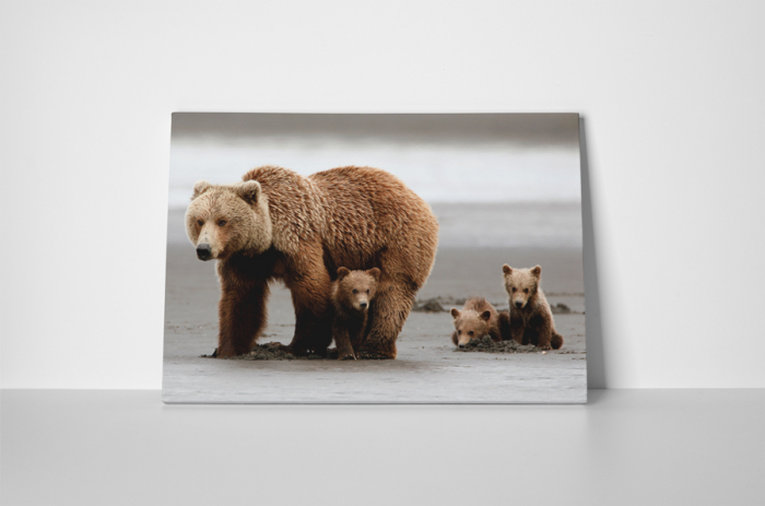 Tablou canvas : Familie de ursi [2]