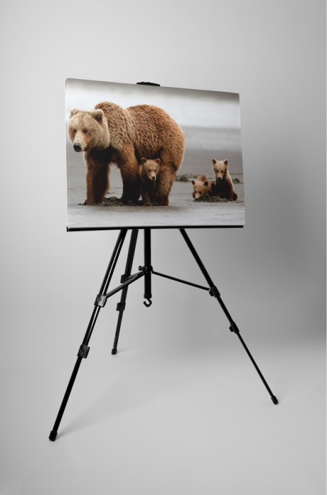 Tablou canvas : Familie de ursi [3]