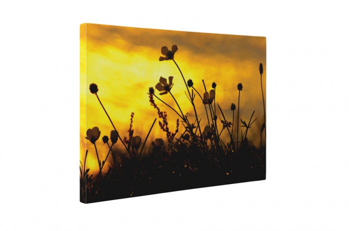Tablou canvas : Apus de soare pe camp [5]