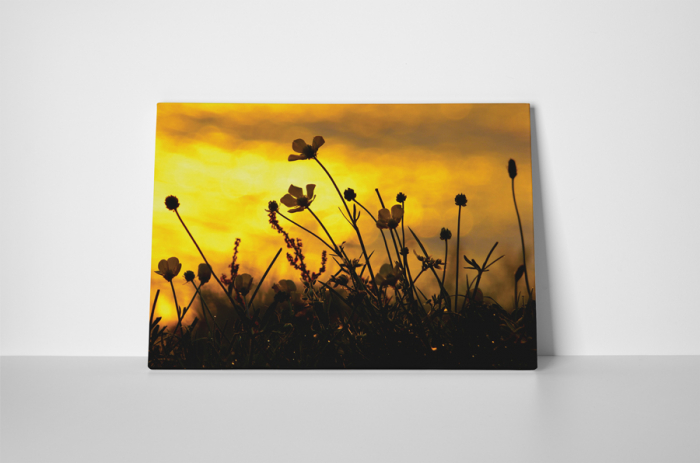 Tablou canvas : Apus de soare pe camp [2]