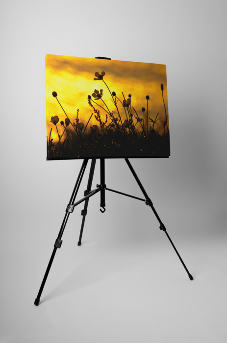 Tablou canvas : Apus de soare pe camp [3]