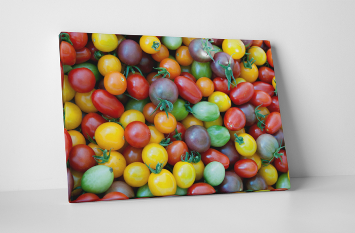 Tablou canvas : Rosii colorate [1]