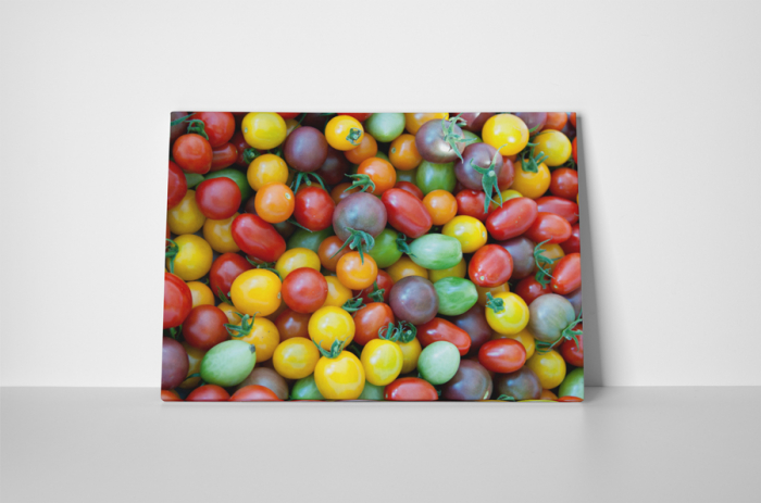 Tablou canvas : Rosii colorate [2]