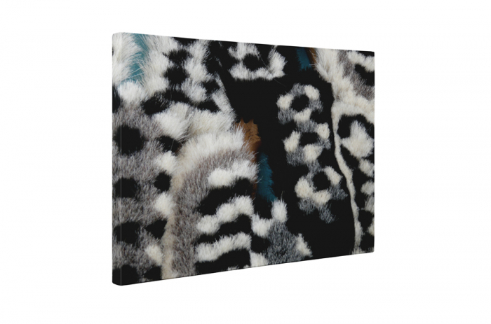 Tablou canvas : Perii [5]