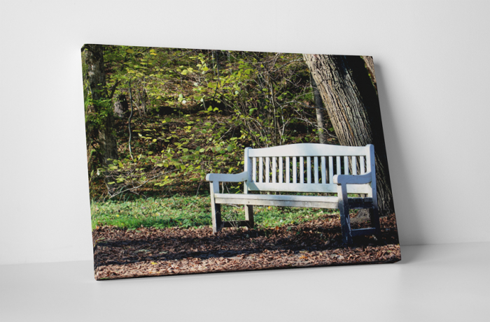 Tablou canvas : Odihna in padure [1]