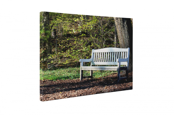 Tablou canvas : Odihna in padure [5]