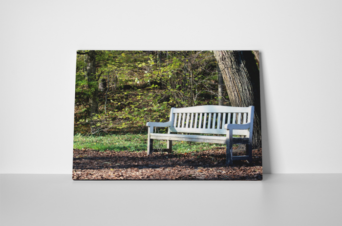 Tablou canvas : Odihna in padure [2]