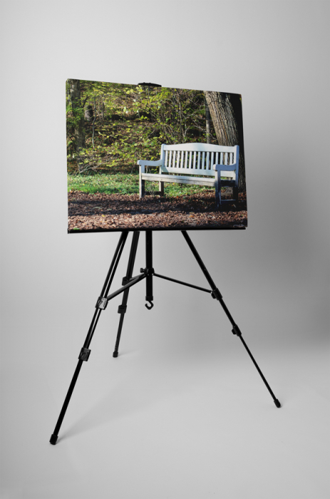 Tablou canvas : Odihna in padure [3]