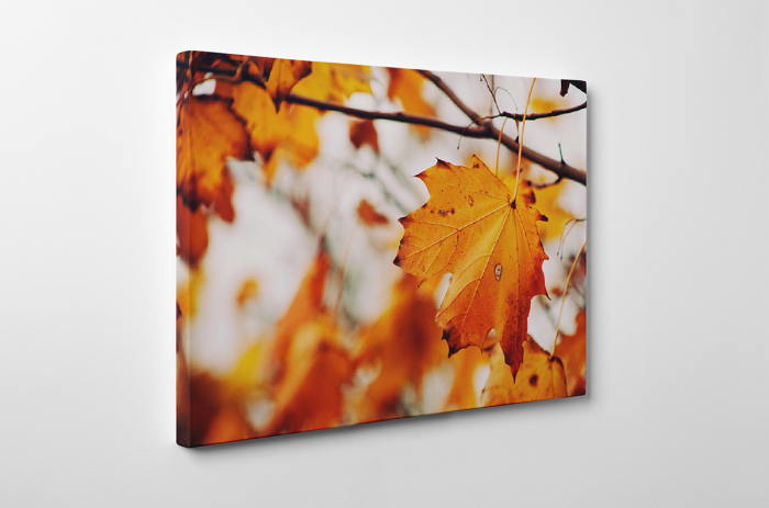 Tablou canvas : Tomna [3]