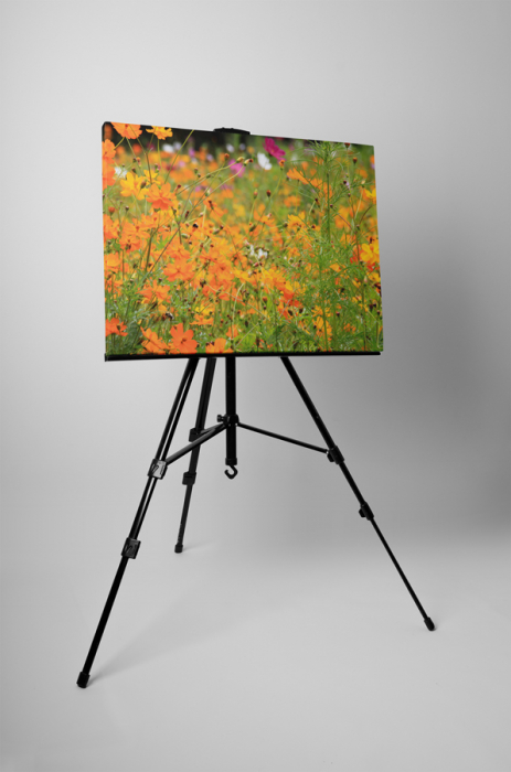 Tablou canvas : Floricele portocalii [3]