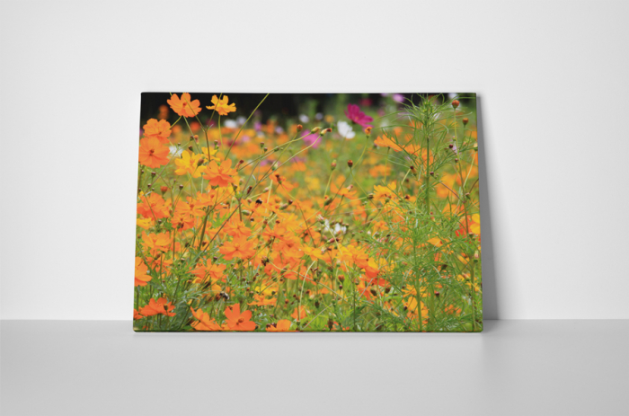 Tablou canvas : Floricele portocalii [2]