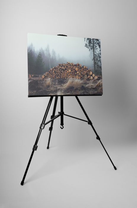 Tablou canvas : Exploatare forestiera [3]