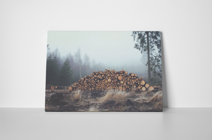 Tablou canvas : Exploatare forestiera [2]