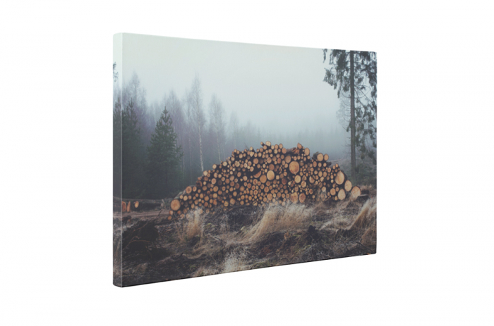 Tablou canvas : Exploatare forestiera [5]