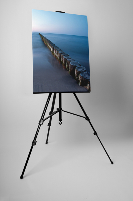 Tablou canvas : Lemne in apa [3]