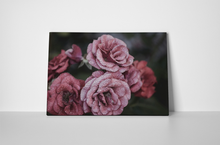 Tablou canvas : Trandafiri inghetate [2]