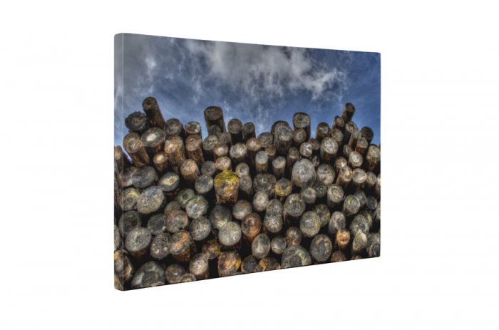 Tablou canvas : Lemne taiate [5]