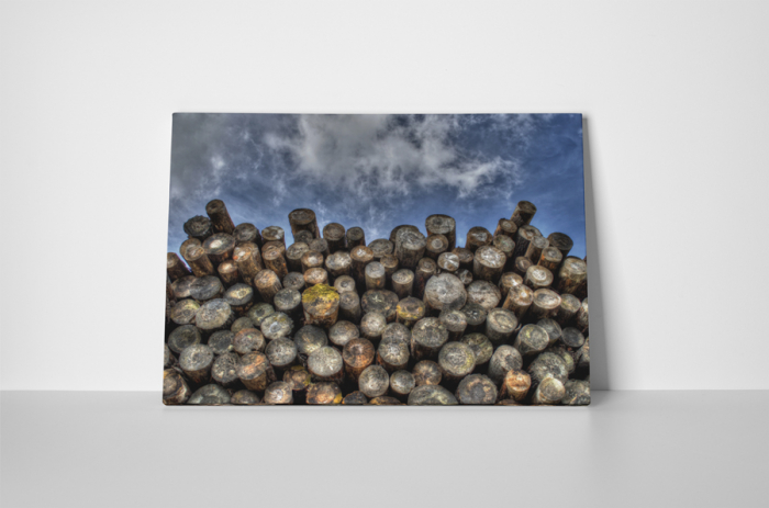 Tablou canvas : Lemne taiate [2]