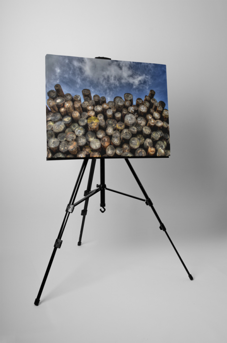 Tablou canvas : Lemne taiate [3]