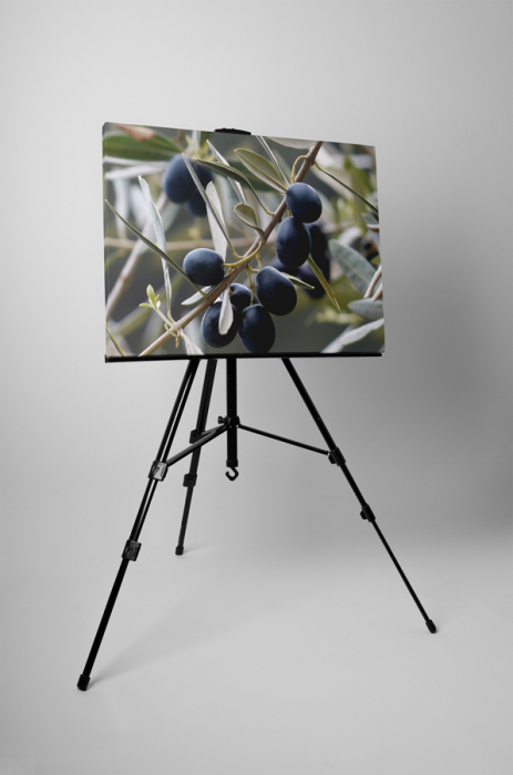 Tablou canvas : Masline [3]