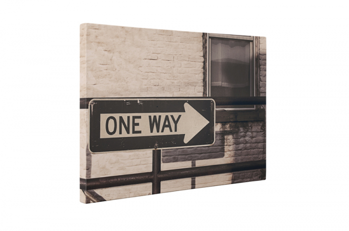 Tablou canvas : One way [5]