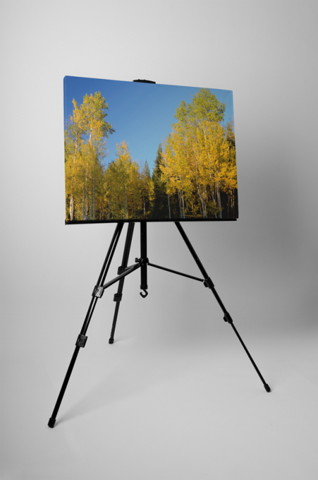 Tablou canvas : In padure [3]