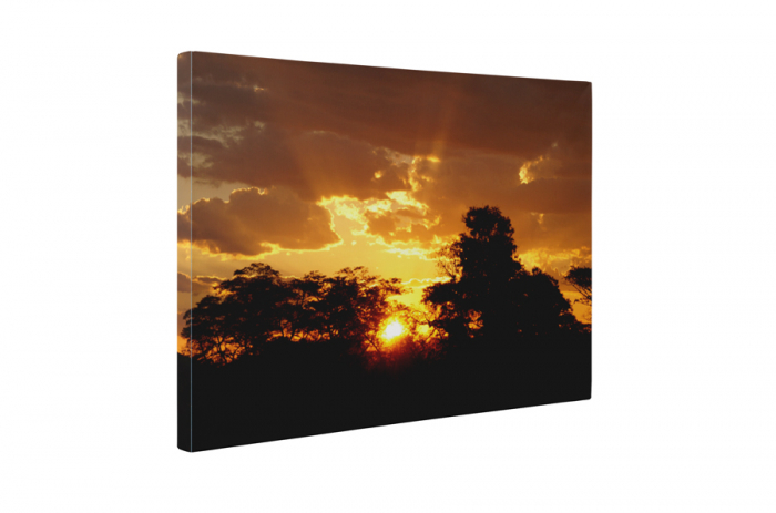 Tablou canvas : Soarele apune [5]