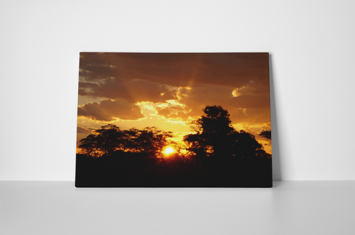 Tablou canvas : Soarele apune [2]