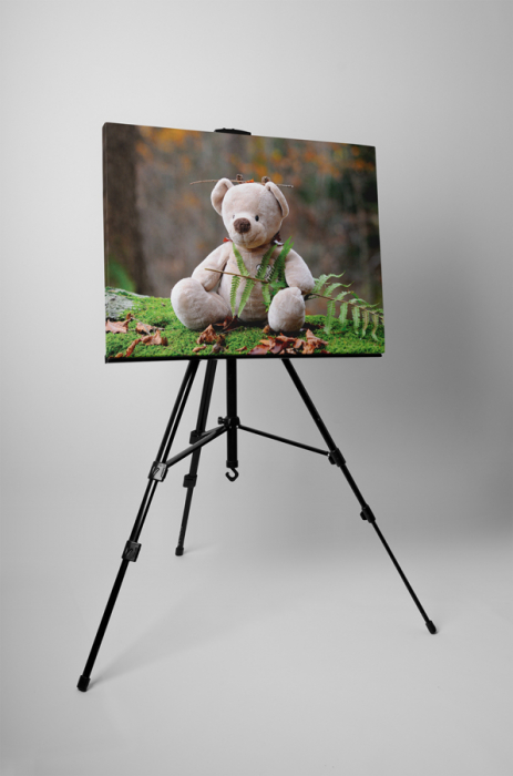 Tablou canvas : Teddy bear [3]