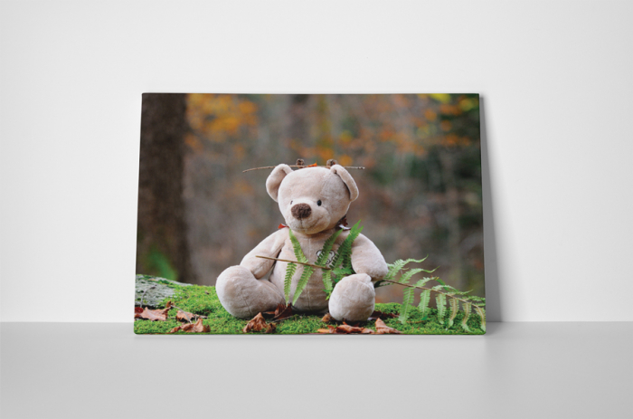 Tablou canvas : Teddy bear [2]