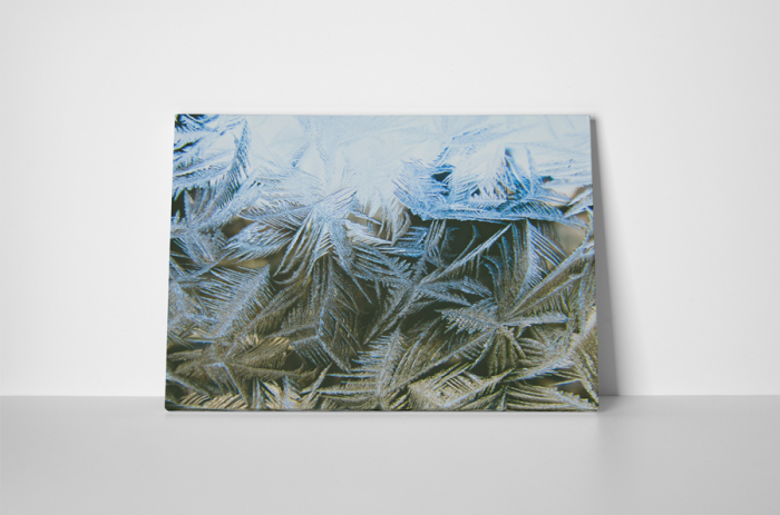 Tablou canvas : Flori de gheata [2]