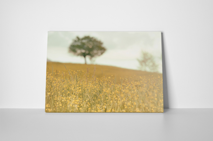 Tablou canvas : Campul ingalbenit [2]