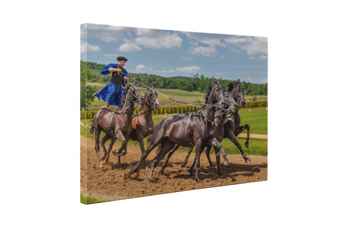 Tablou canvas : Husarul curajos [5]
