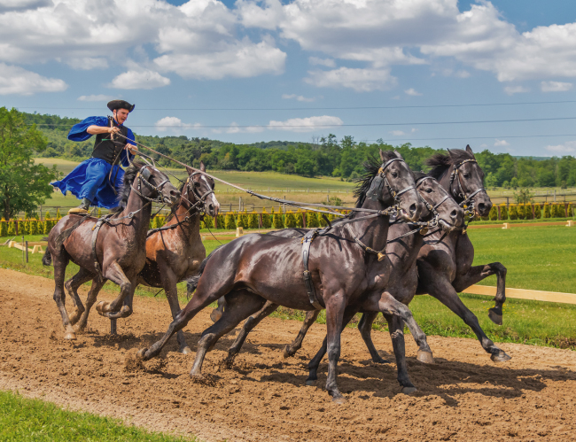 Tablou canvas : Husarul curajos [4]