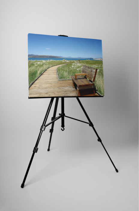 Tablou canvas : Zi de vara [3]