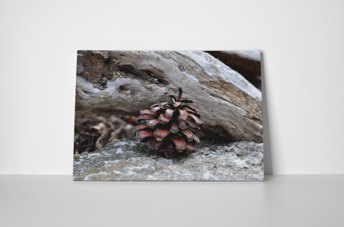 Tablou canvas : Conul singuratic [2]
