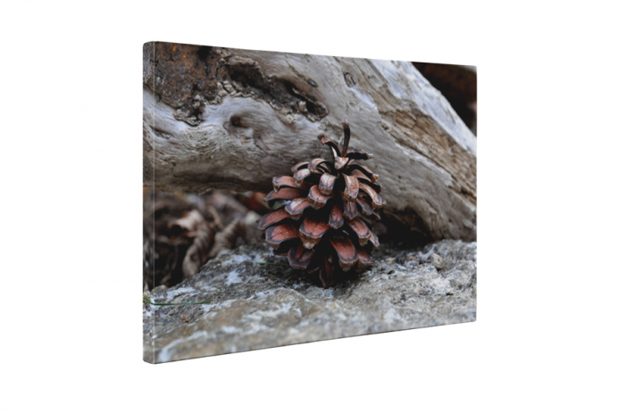 Tablou canvas : Conul singuratic [5]